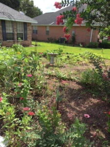 Homegrown Fruits and Vegetables for Sunburn Protection Image